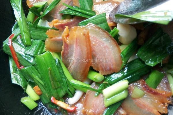 香蒜炒腊肉的做法图解5