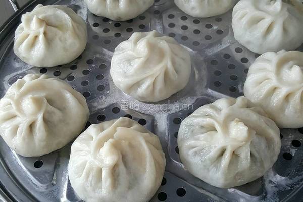 牛肉茴香包子的做法图解21