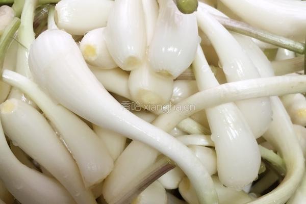 小米辣泡茭头的做法图解2