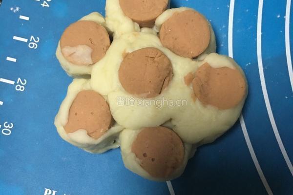 火腿花卷与红枣花卷的做法图解7