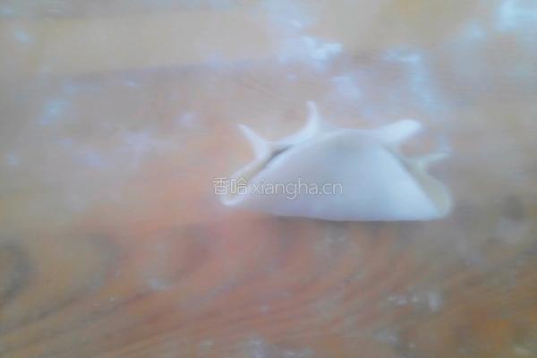 猪肉茴香馅饺子的做法图解15