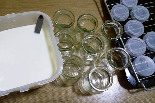 自制醇香酸奶的做法图解6