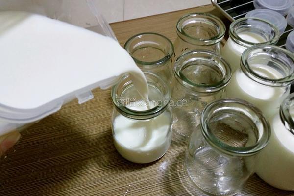 自制醇香酸奶的做法图解7