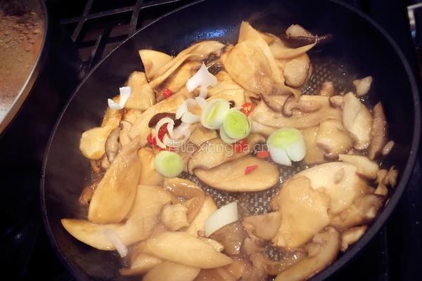 极鲜杏鲍菇的做法图解4