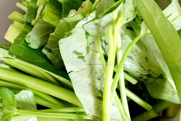 空心菜炒肉片的做法图解4