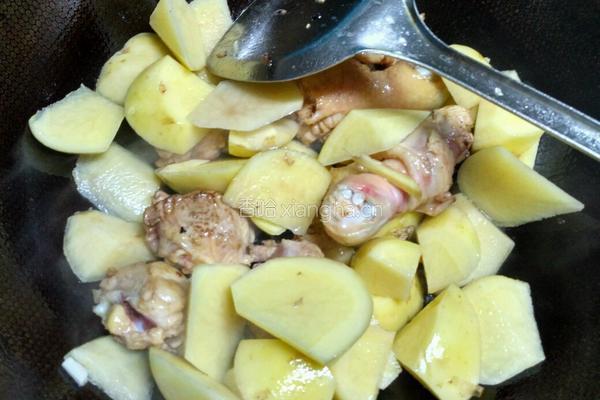 土豆炖鸡腿的做法图解4