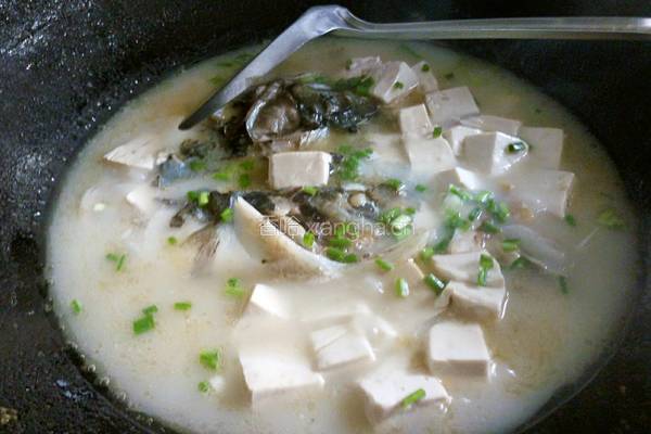 鱼头豆腐汤的做法图解5