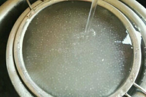 芒果牛奶西米露冰棒的做法图解5