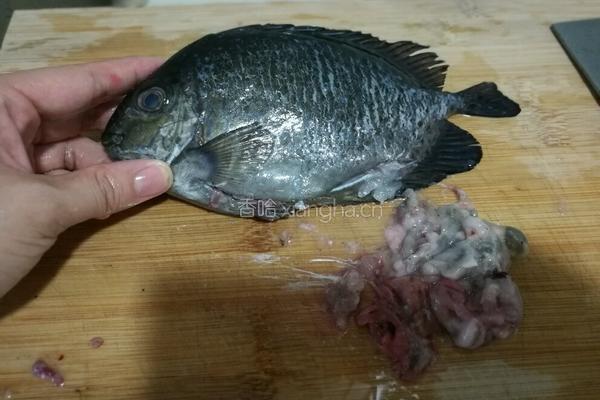 煎泥猛鱼的做法图解1
