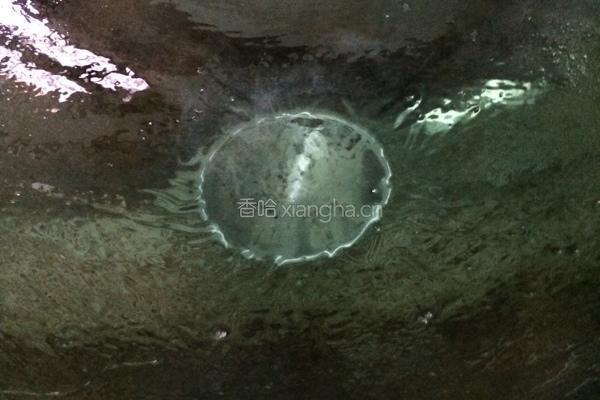 瘦肉酿辣椒的做法图解5