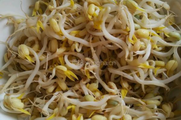 凉拌茄子绿豆芽的做法图解2