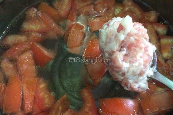 瘦肉西红柿汤的做法图解4