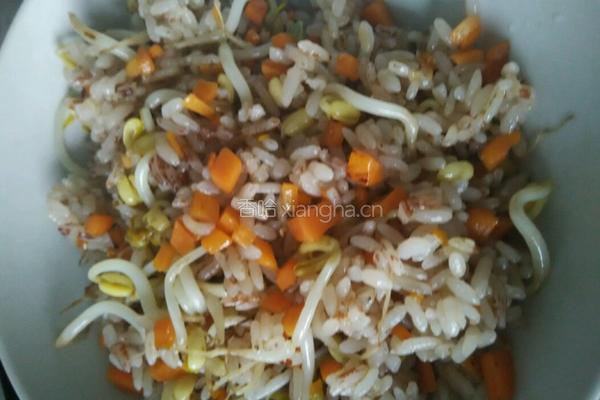 发绿豆芽的做法图解10