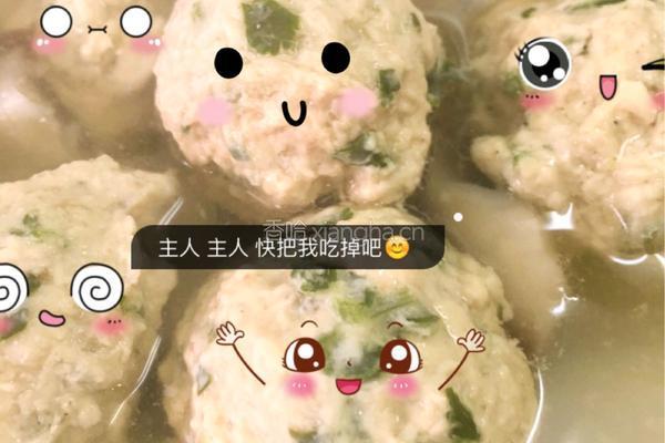 鸡肉丸子的做法图解7