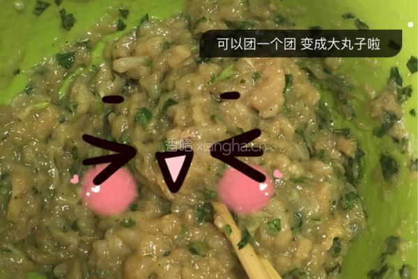 鸡肉丸子的做法图解6