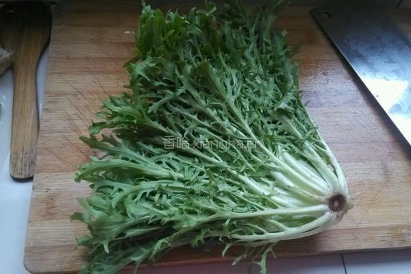 凉拌苦菊的做法图解1