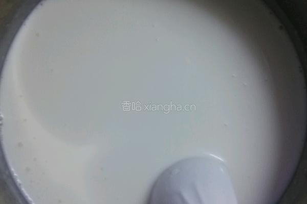 青汁椰奶冻的做法图解2