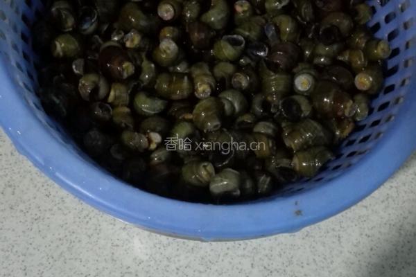 爆炒螺蛳的做法图解1