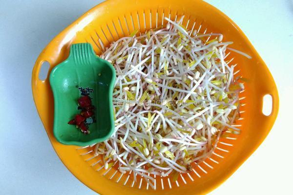 炝炒绿豆芽的做法图解1
