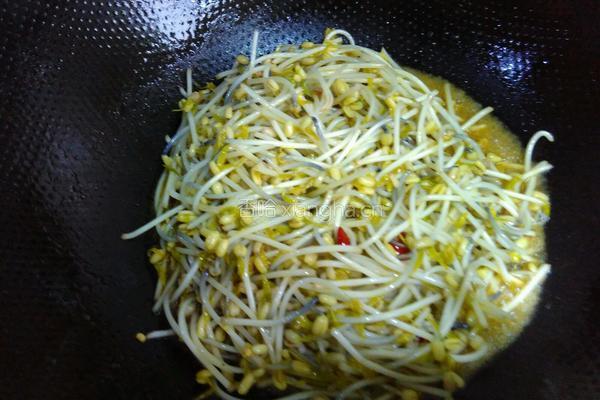 炝炒绿豆芽的做法图解6