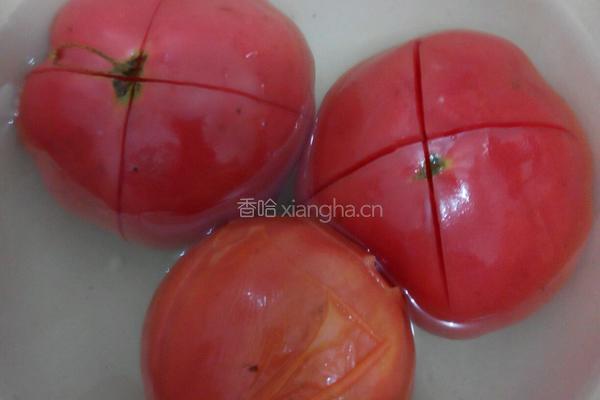 蕃茄酱的做法图解1