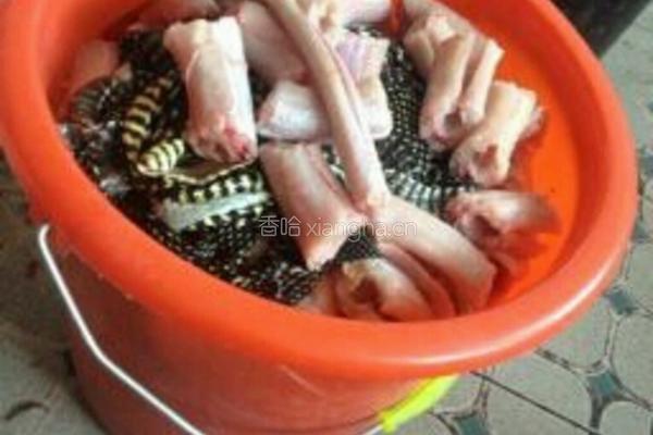 口味蛇的做法图解2