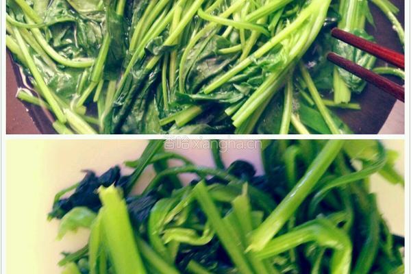 果仁菠菜的做法图解3