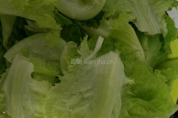 耗油蒜泥生菜的做法图解1