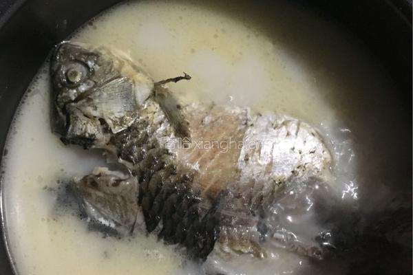 鲫鱼苦瓜豆腐汤的做法图解5