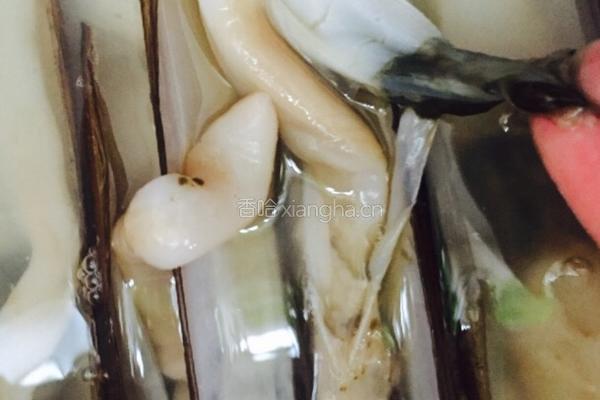 蒜蓉粉丝蛏子王的做法图解2