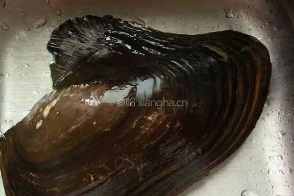 腊肉河蚌菌王汤的做法图解1