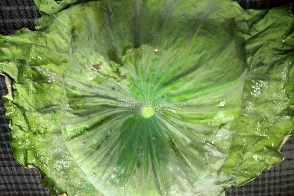 飘香荷叶饭的做法图解13