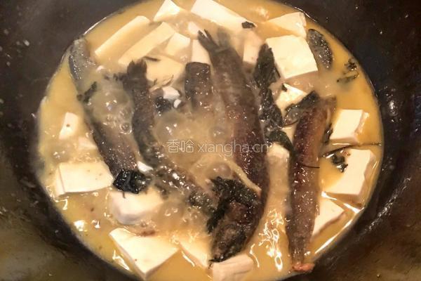 泥鳅炖豆腐的做法图解6