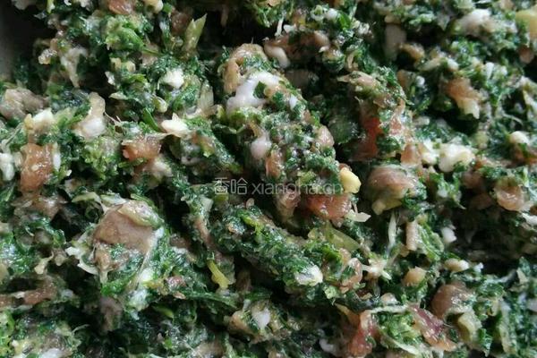 煮冻水饺（山芹菜猪肉馅）的做法图解2