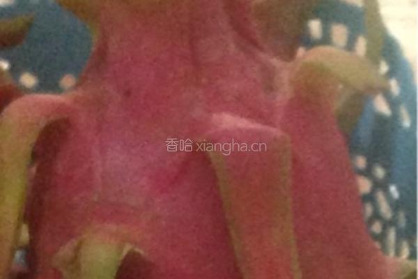 火龙果蛋糕的做法图解11