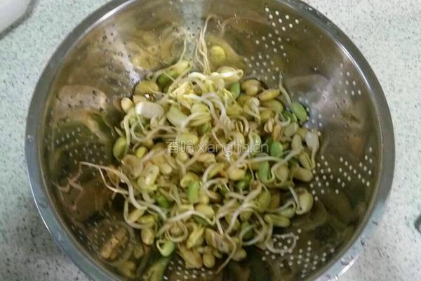 剁椒黄豆芽的做法图解1