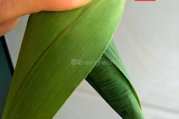 包粽子的做法图解2