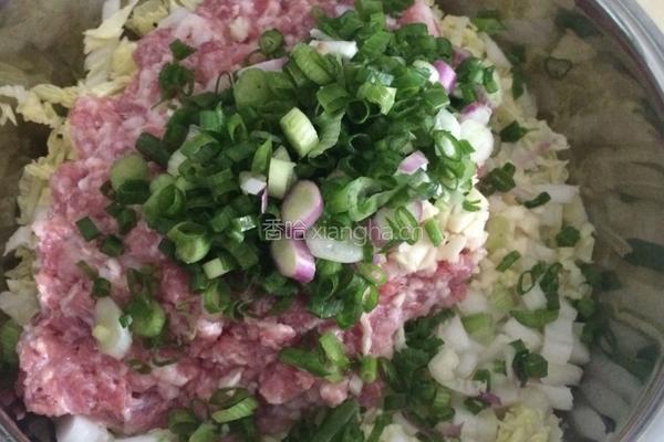 大白菜猪肉包的做法图解3