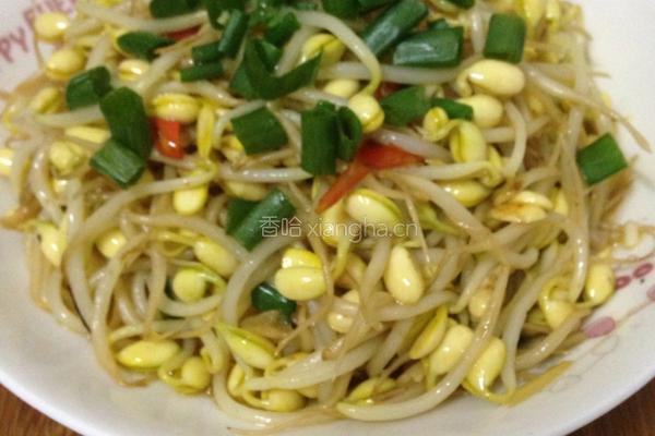 炒黄豆芽的做法图解7