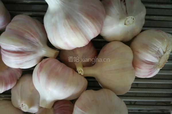 腌糖蒜的做法图解2