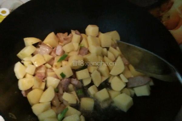 土豆炖肉的做法图解4