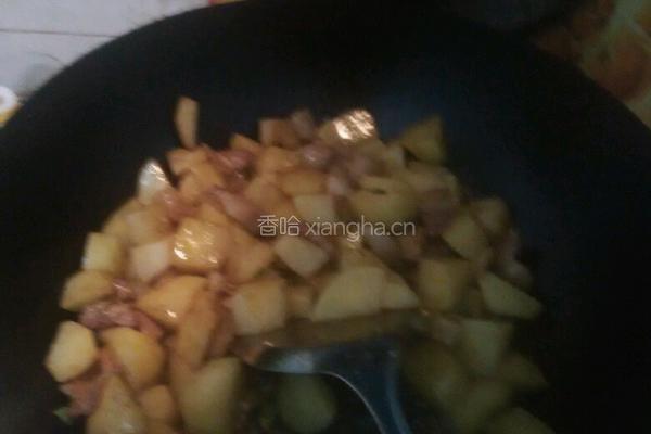 土豆炖肉的做法图解6