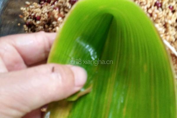 端午粽子的做法图解7