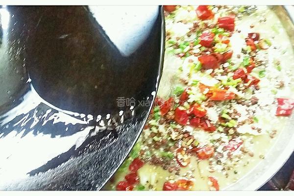 麻辣酸菜鱼火锅的做法图解18