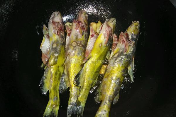 黄刺鱼焖豆腐的做法图解5