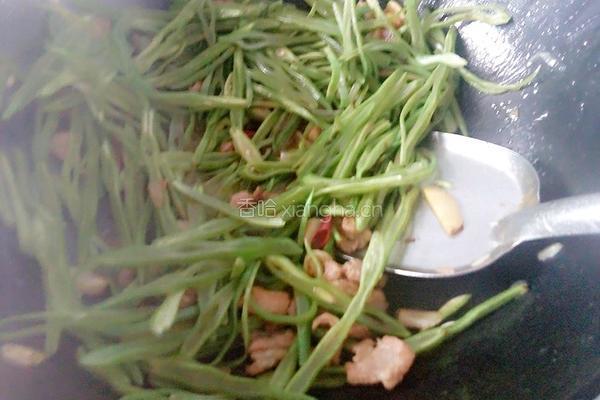 豆角丝炒肉的做法图解7