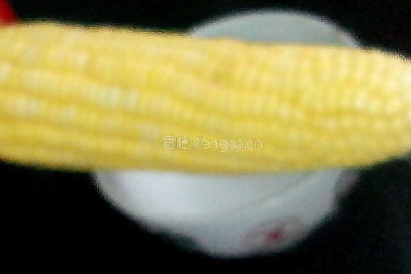 原味水煮玉米的做法图解1