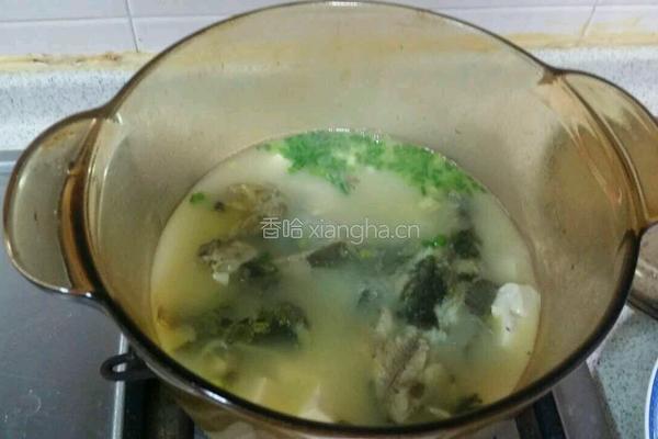 昂刺鱼豆腐汤的做法图解7
