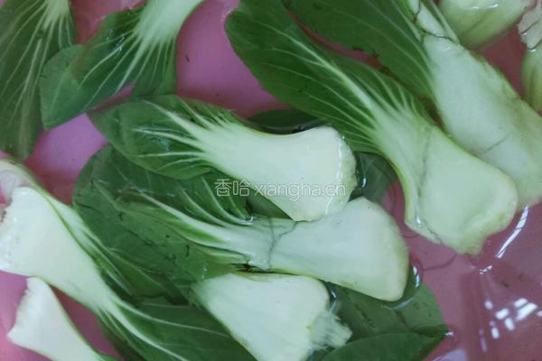 香菇油菜的做法图解1