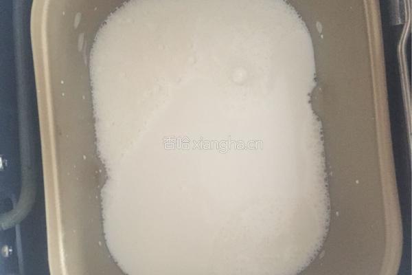 面包机酸奶（无糖）的做法图解4